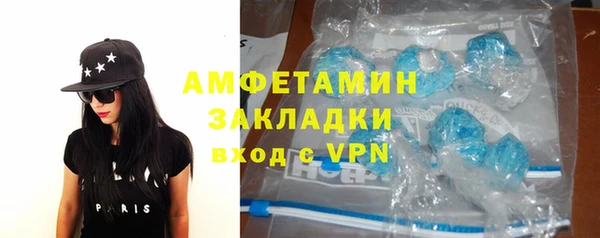 гидра Алексеевка