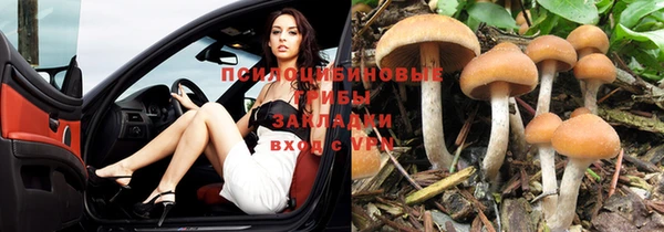 гидра Алексеевка