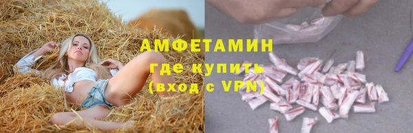 прущие грибы Костерёво