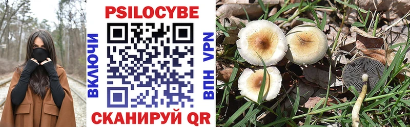 Галлюциногенные грибы MAGIC MUSHROOMS  Аргун 
